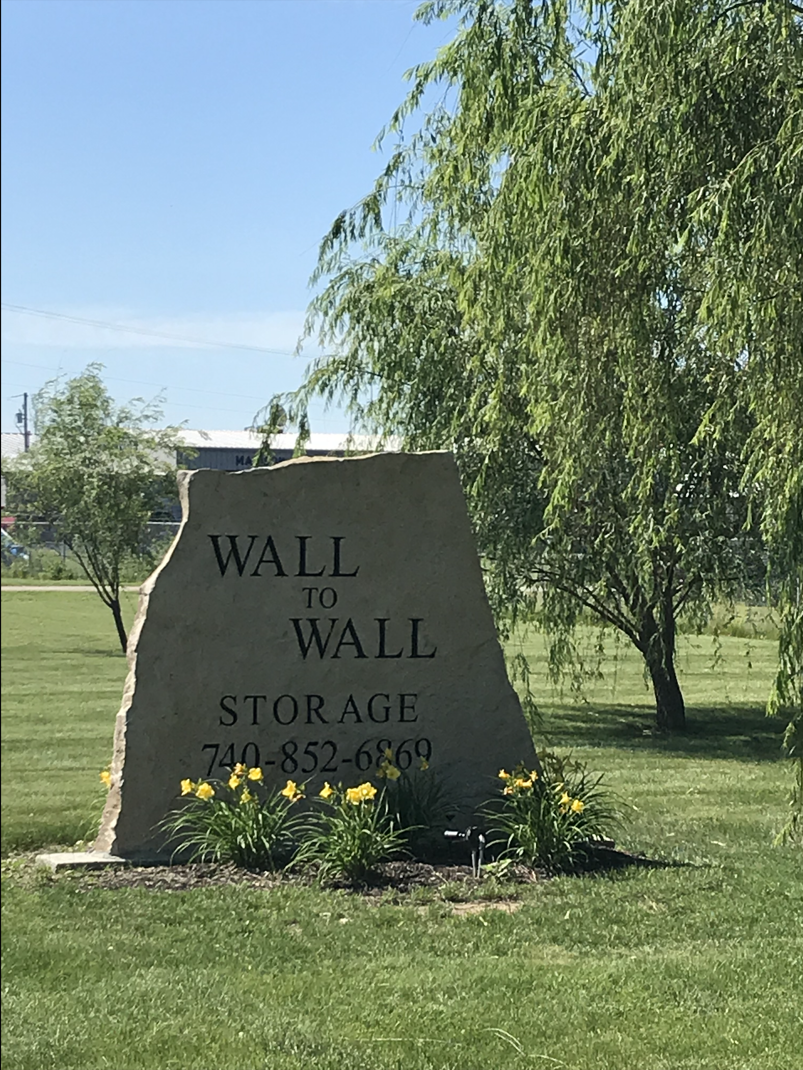 Screen Shot 2019-03-08 at 9.32.27 AM